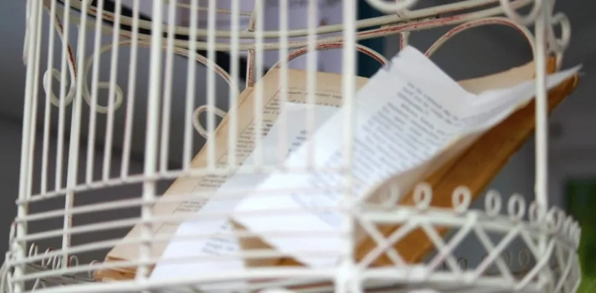 Por que a liberdade de expressão é importante